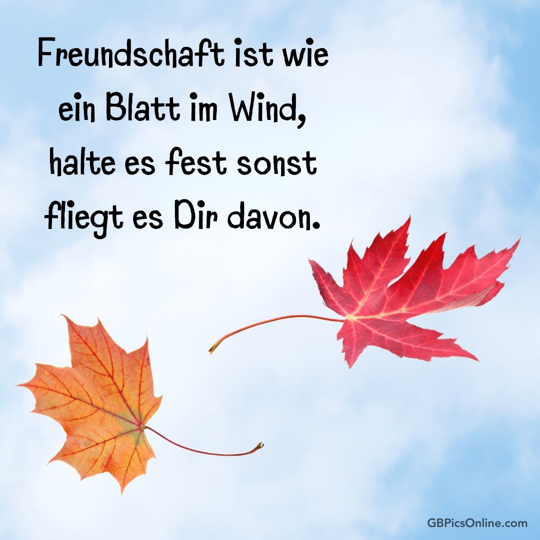 Zwei Herbstblätter vor blauem Himmel mit einem Zitat über Freundschaft