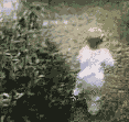 Lustige Animationen bild 8 Lustige Animationen bild 8
