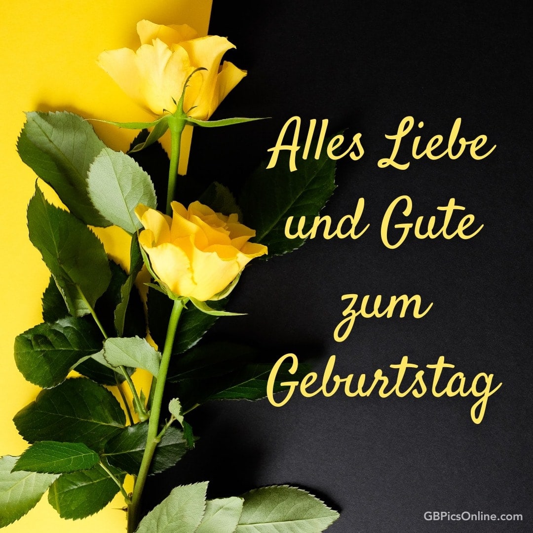 Gelbe Rosen und goldene Schrift wünschen „Alles Liebe und Gute zum Geburtstag“