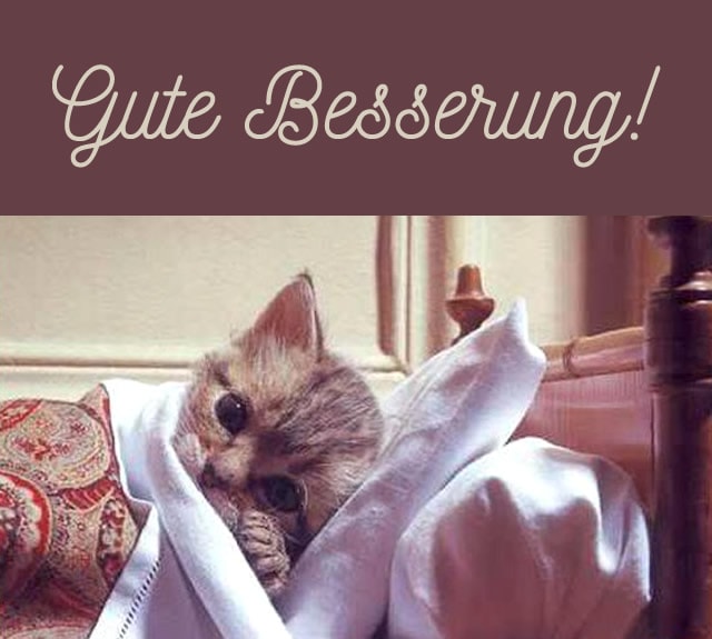 Kätzchen im Bett mit Text „Gute Besserung!“