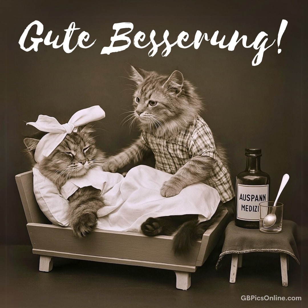Zwei Katzen in Kleidung; eine pflegt die andere, die krank im Bett liegt