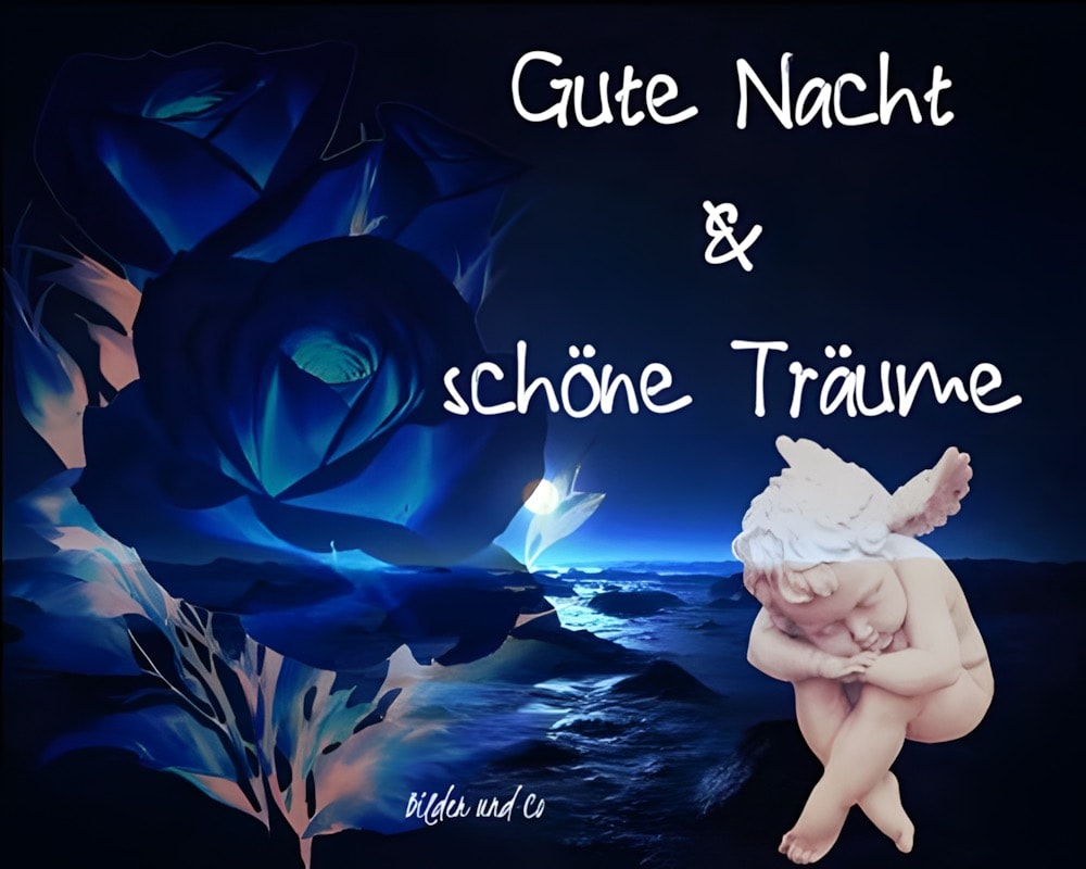 Gute Nacht & schöne Träume.