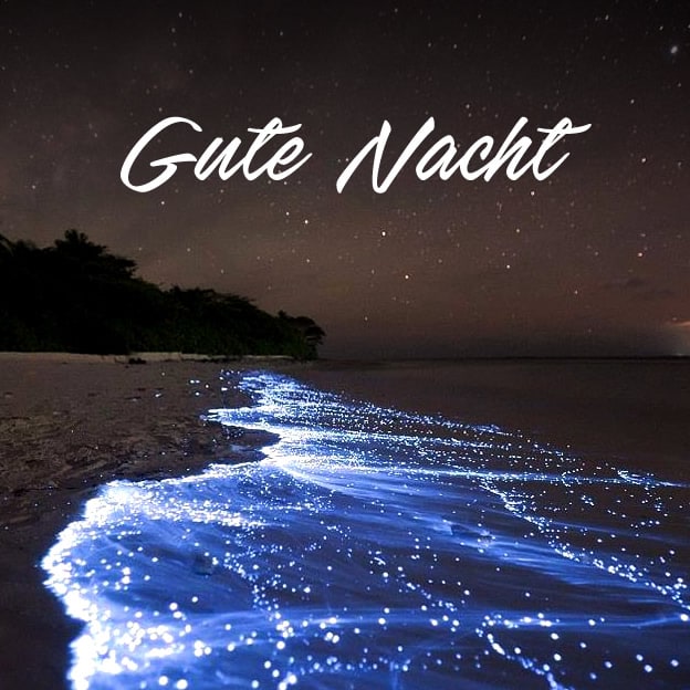 Leuchtendes Plankton am Strand bei Nacht, darüber „Gute Nacht“ Text