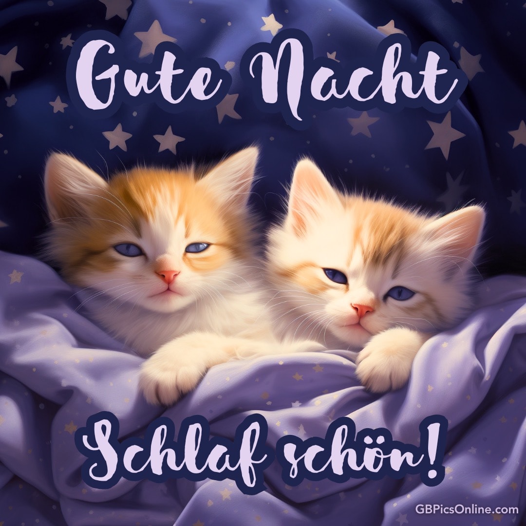 Zwei süße Kätzchen kuscheln sich in eine Decke mit den Worten „Gute Nacht, Schlaf schön!“