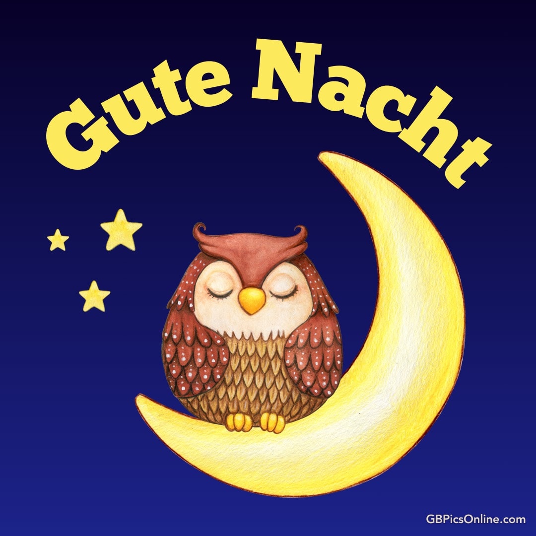 Eine Eule sitzt schlafend auf einem gelben Mond, umgeben von Sternen, mit dem Text „Gute Nacht“ oben