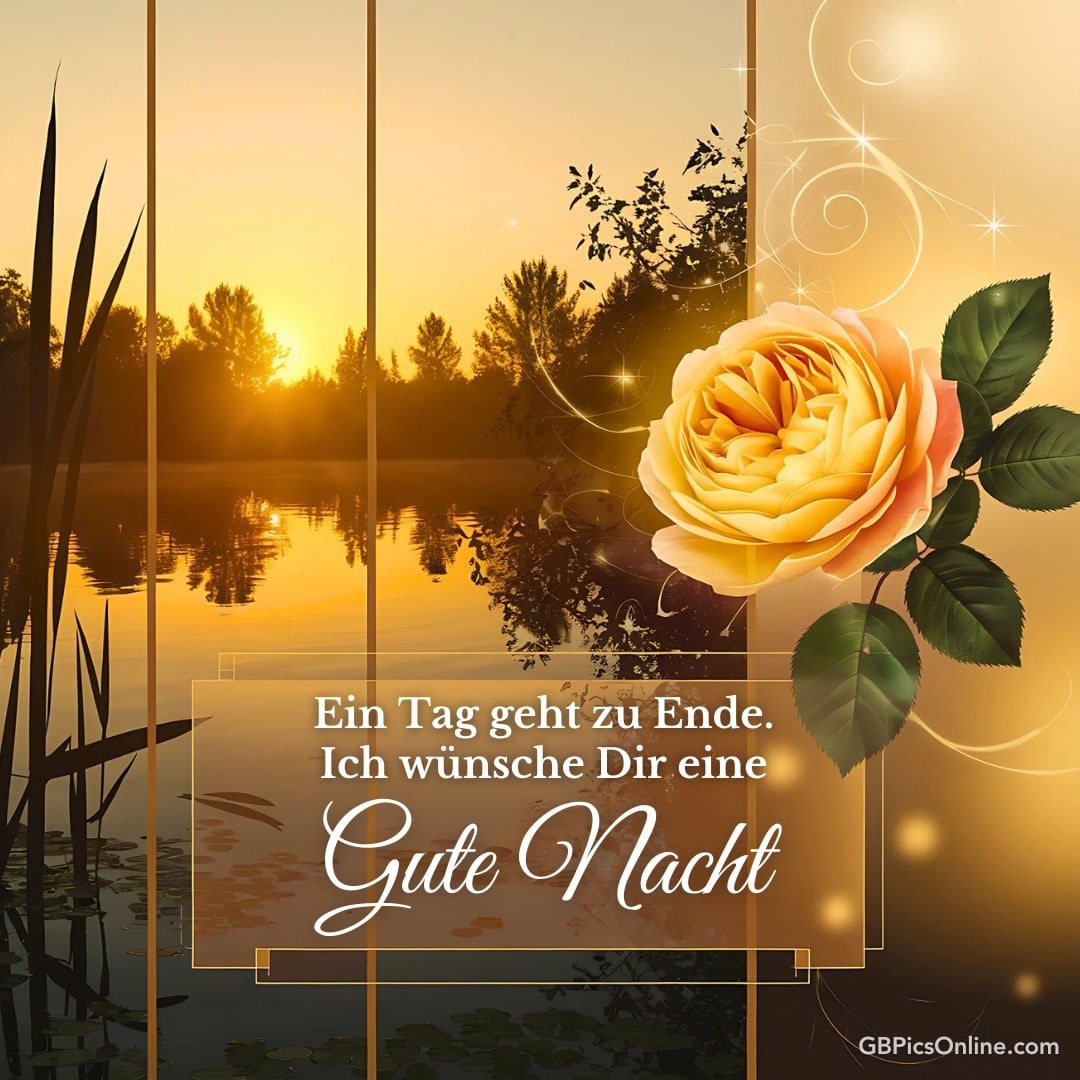 Sonnenuntergang am See mit Rose, Text „Gute Nacht“