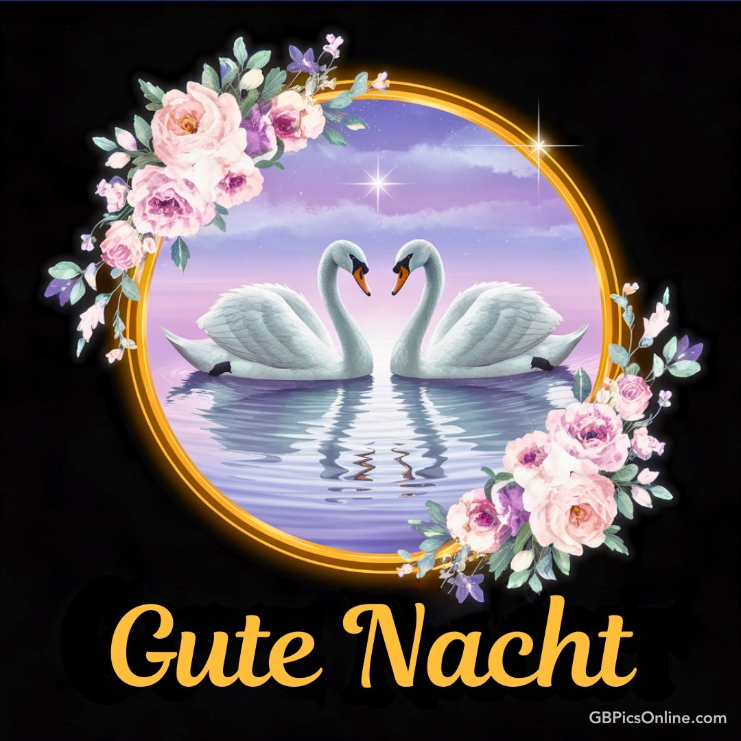 Zwei Schwäne bilden ein Herz auf einem See, umgeben von Blumen und dem Schriftzug „Gute Nacht“