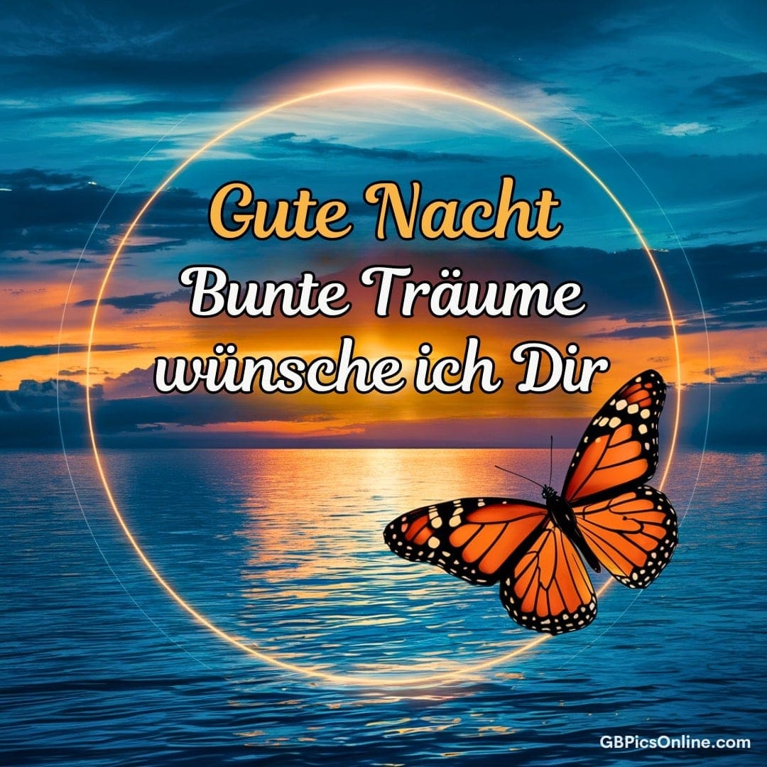 Sonnenuntergang mit Schmetterling und leuchtendem Text „Gute Nacht, bunte Träume wünsche ich Dir“