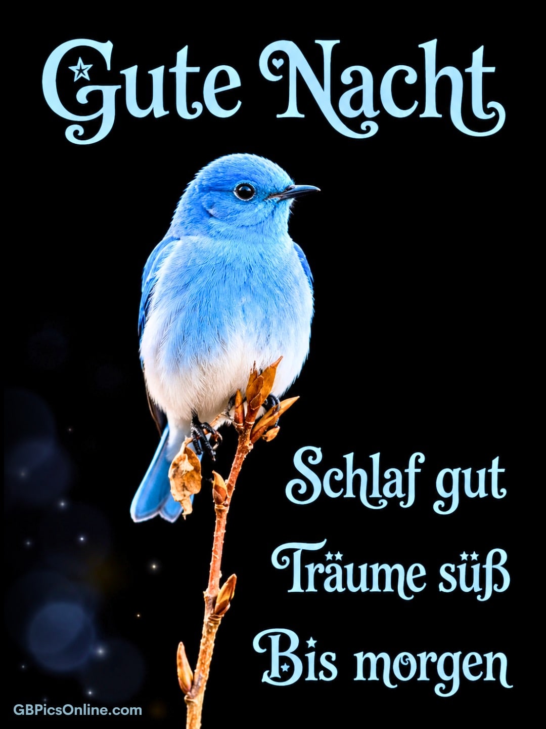 Gute Nacht bild