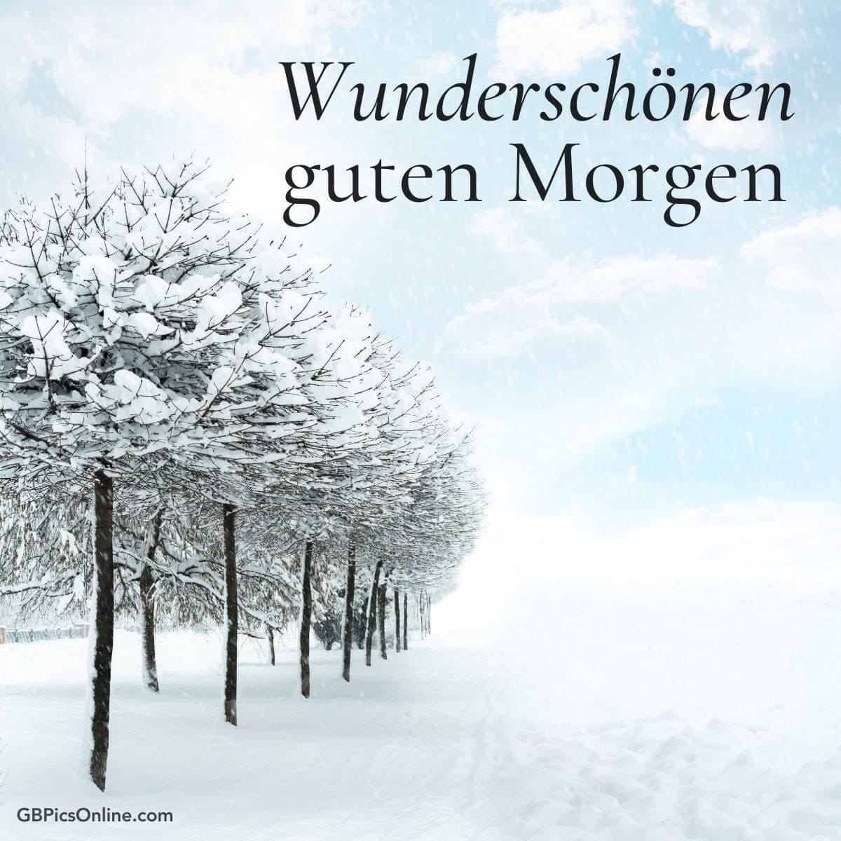Schneebedeckte Bäume an einem klaren Wintermorgen mit der Aufschrift „Wunderschönen guten Morgen“