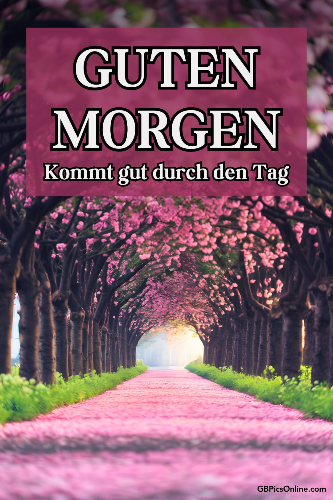 Blühende Kirschbäume säumen einen Weg, darüber das Schild „Guten Morgen“