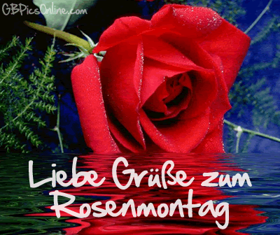 Liebe Grüße zum Rosenmontag.