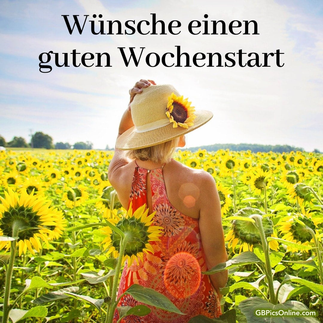 Frau im Sonnenhut steht in einem Sonnenblumenfeld mit Text „Wünsche einen guten Wochenstart“