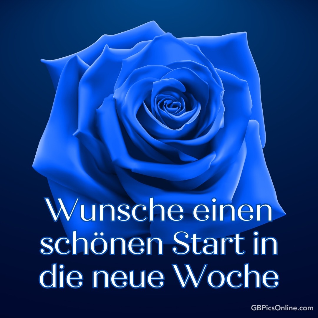 Eine blaue Rose mit Wünschen für die Woche
