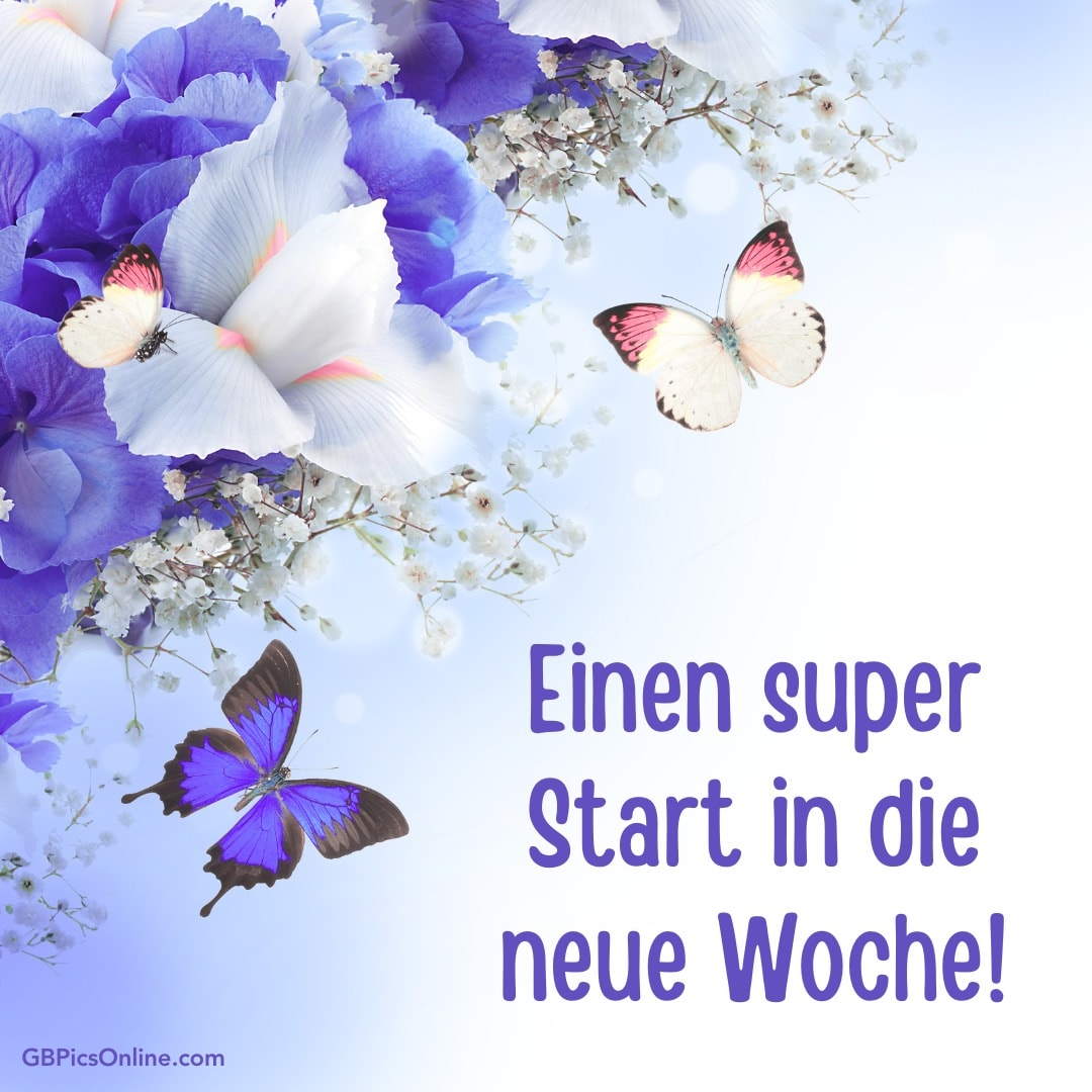 Blaue und weiße Blumen mit Schmetterlingen und dem Text „Einen super Start in die neue Woche!“