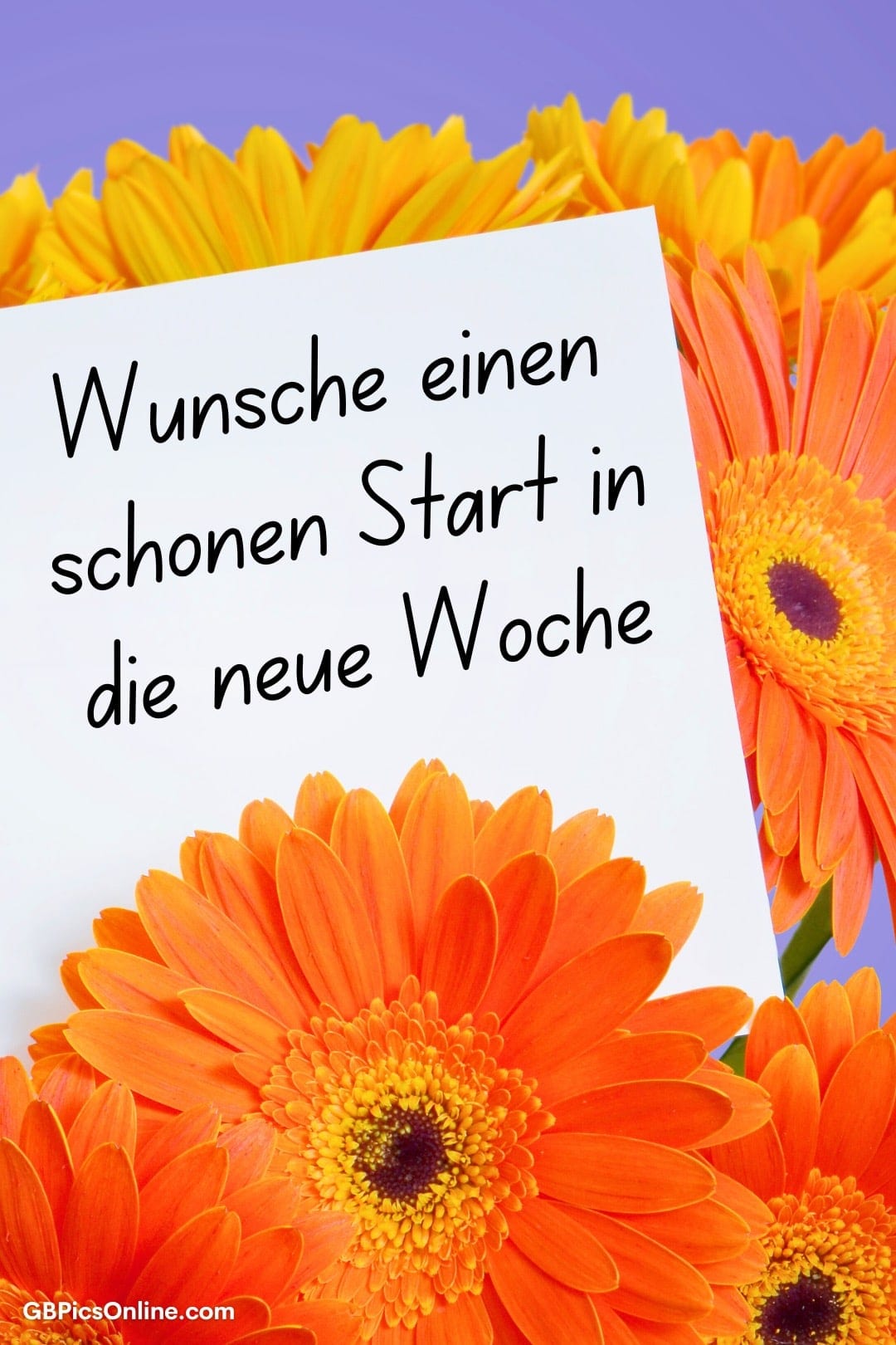 Orange Blumen mit Schild „Wünsche einen schönen Start in die neue Woche“ vor lila Hintergrund