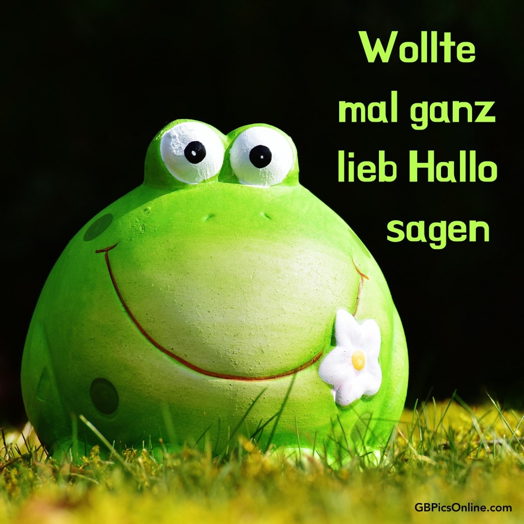 Ein grüner lächelnder Frosch mit einer Blume und dem Text: „Wollte mal ganz lieb Hallo sagen“
