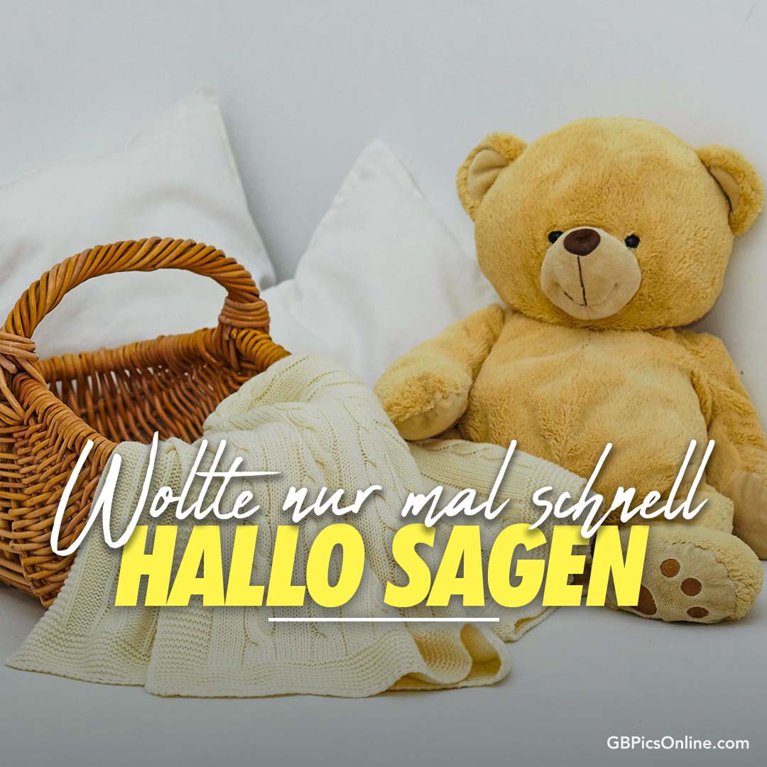 Ein Teddybär mit Text „Wollte nur mal schnell HALLO SAGEN“