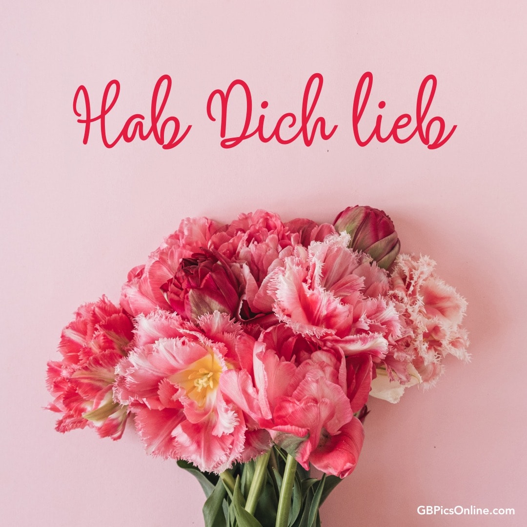 Ein Strauß rosa Blumen mit „Hab Dich lieb“ Text auf rosa Hintergrund