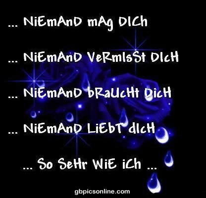 ...Niemand mag Dich ...Niemand vermisst Dich ...Niemand braucht Dich ...Niemand...