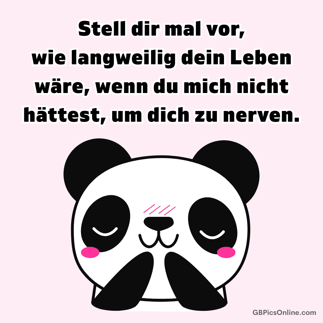 Niedlicher Panda mit rosigen Wangen auf rosa Hintergrund, darüber ein frecher Spruch