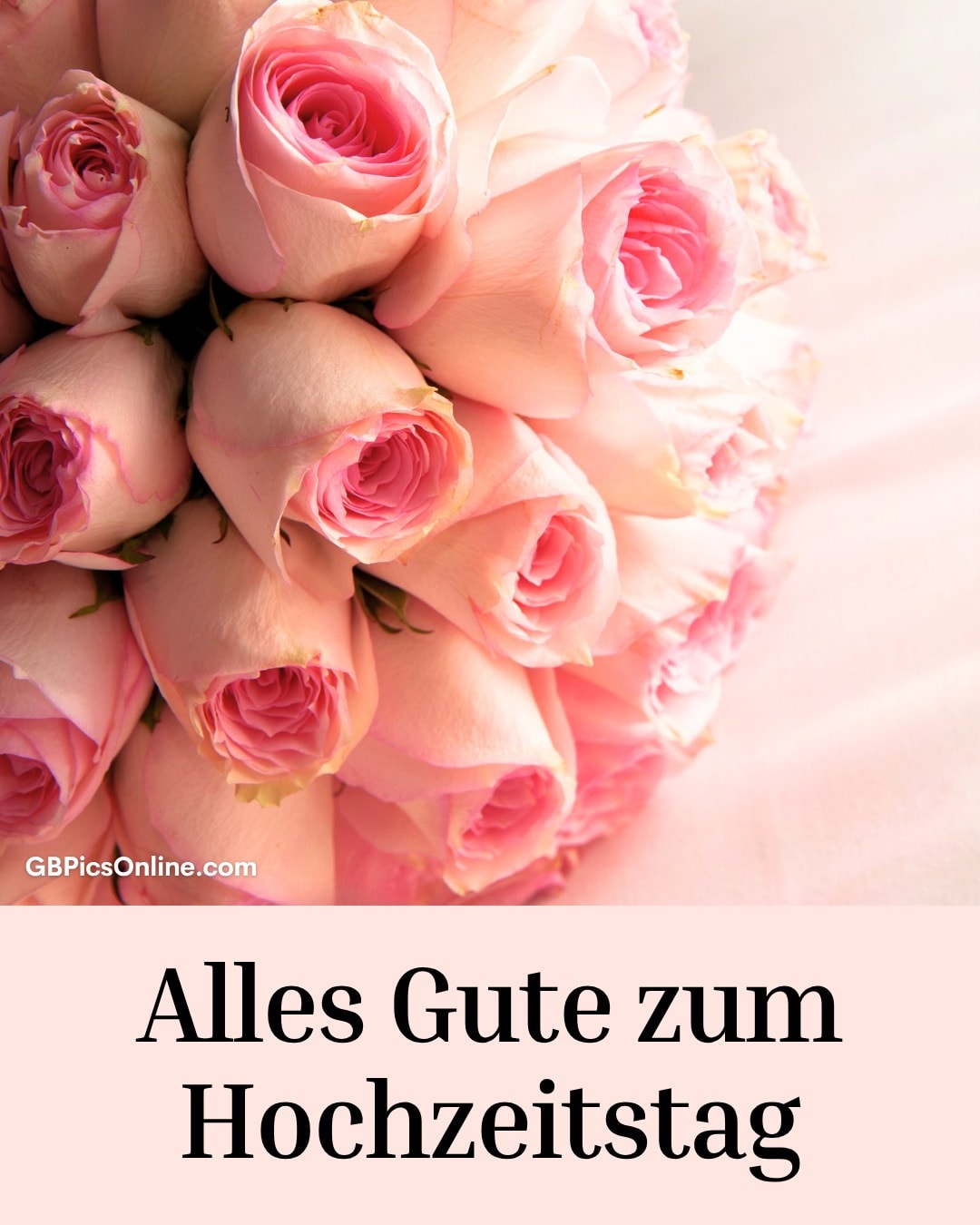 Ein Strauß rosa Rosen liegt auf einem hellen Untergrund. Darunter steht: „Alles Gute zum Hochzeitstag“