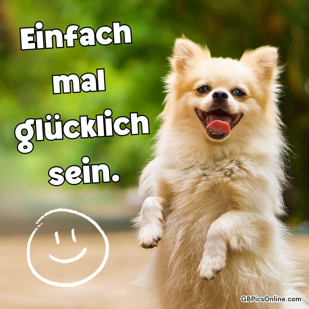 Fröhlicher kleiner Hund springt vor grünem Hintergrund, daneben steht: „Einfach mal glücklich sein.“
