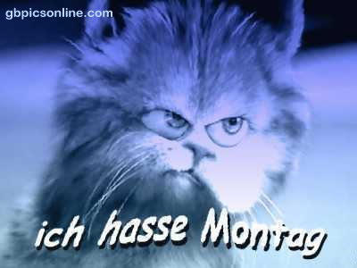 Ich hasse Montag.