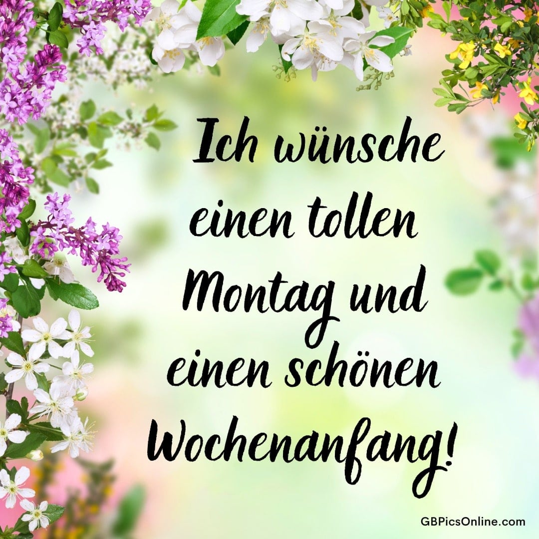 Wünsche für einen tollen Montag umgeben von blühenden Blumen