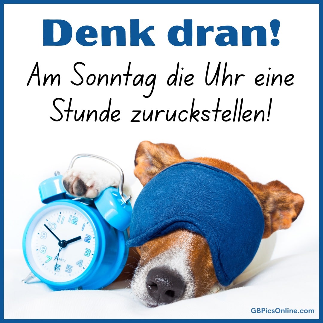 Hund mit Schlafmütze und Wecker erinnert ans Zeitumstellen