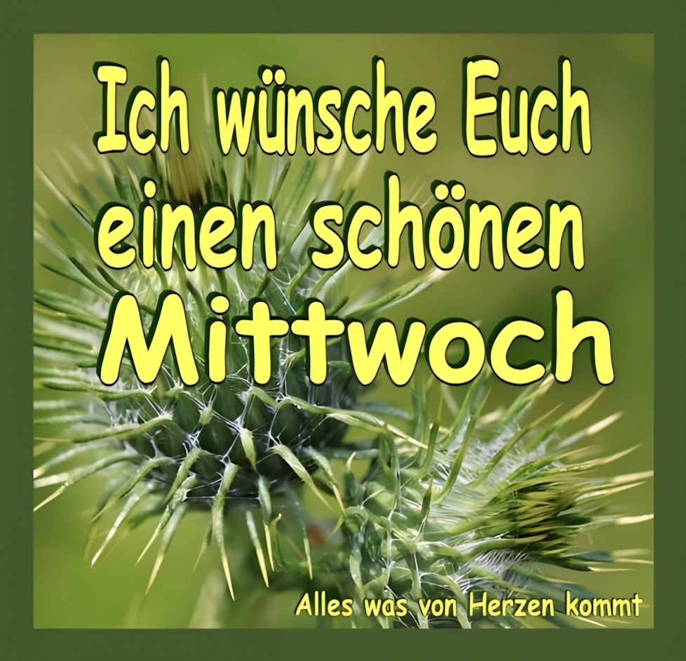 Ich wünsche Euch einen...