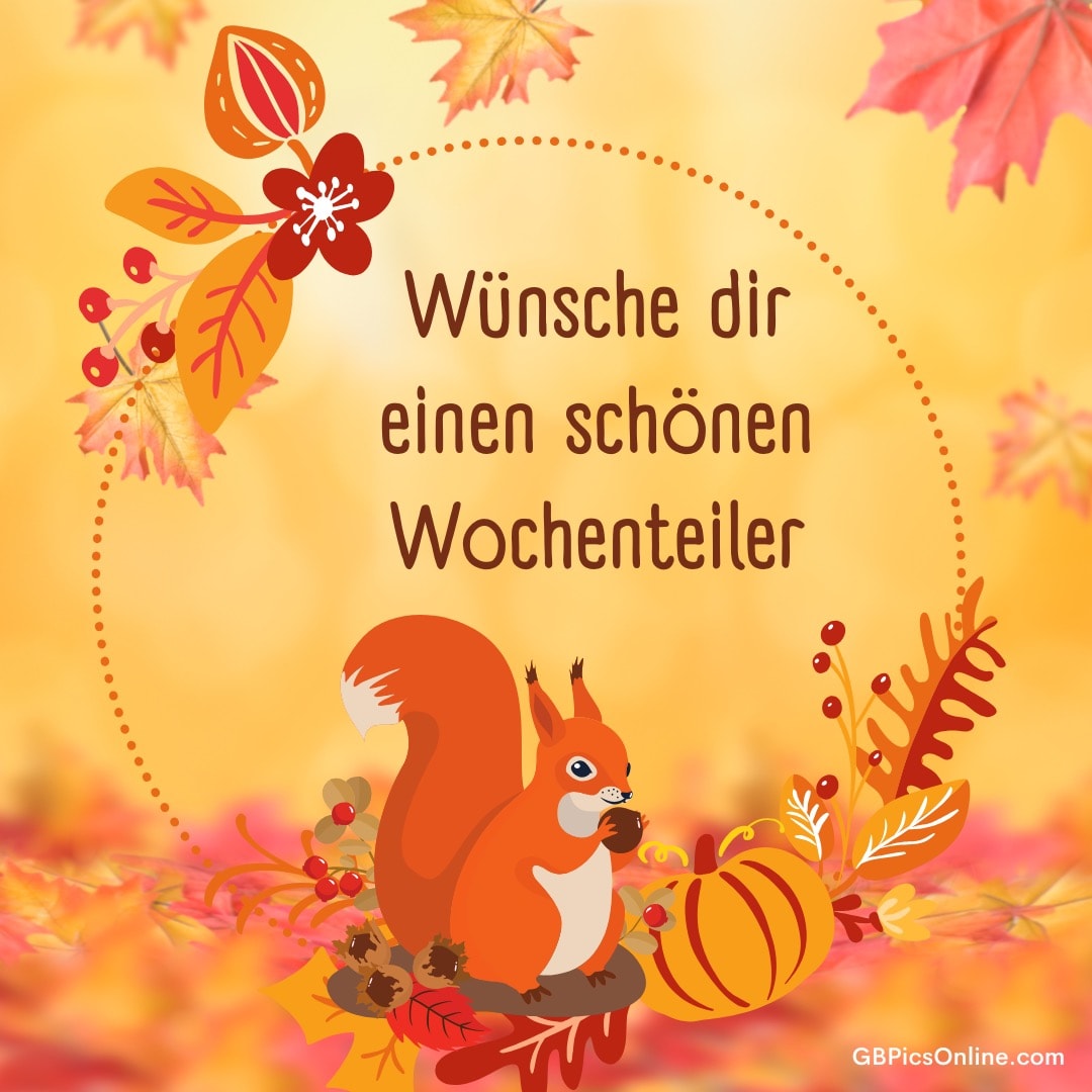 Ein Eichhörnchen umgeben von herbstlichen Blättern und Früchten