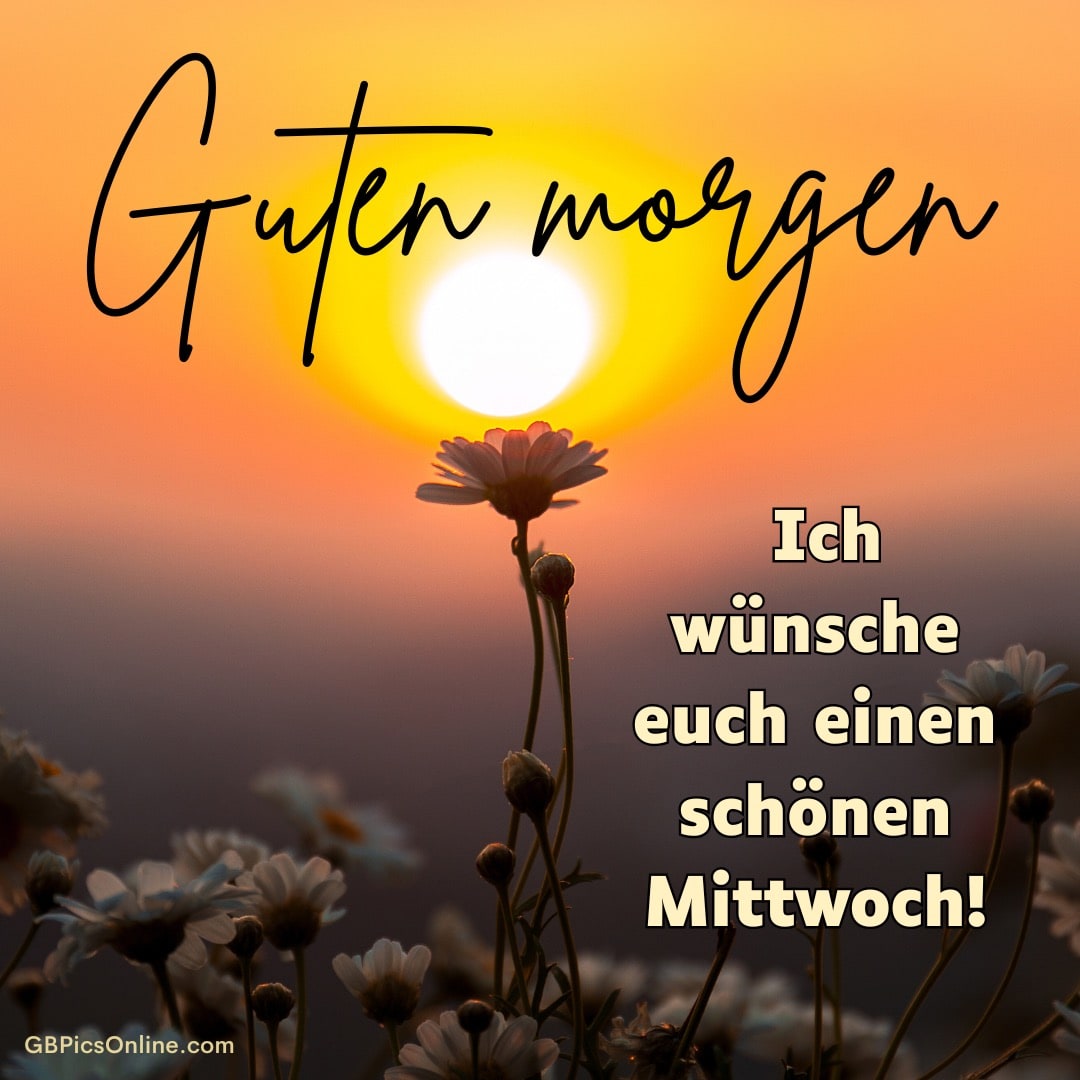 Sonnenaufgang hinter Blumen mit „Guten Morgen“ und einem Wunsch für einen schönen Mittwoch