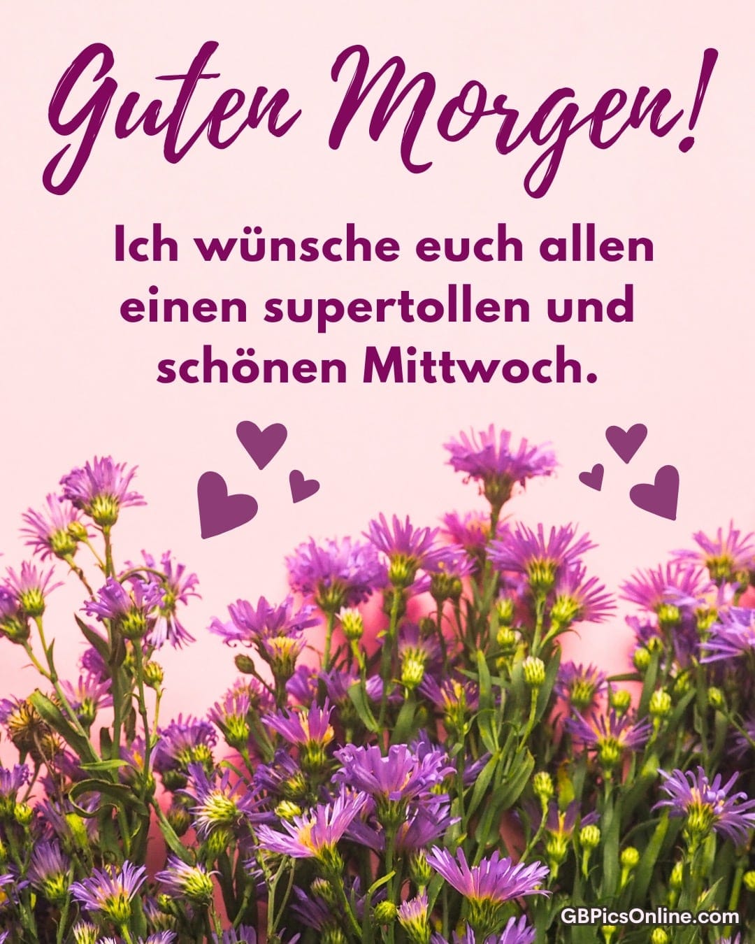 Guten Morgen! Violette Blumen und Wünsche für einen tollen Mittwoch