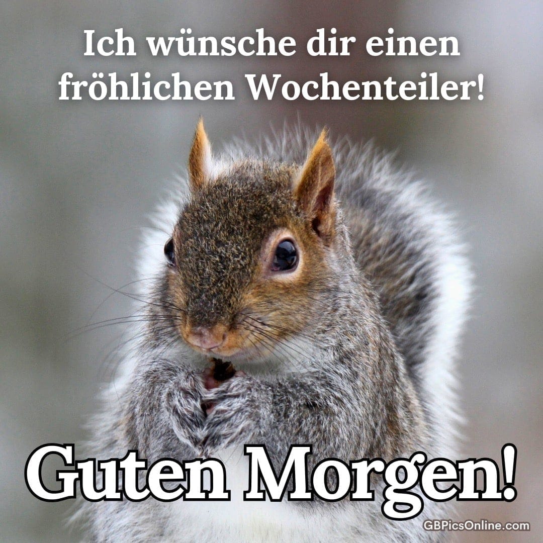 Ich wünsche dir einen fröhlichen Wochenteiler! Guten Morgen!