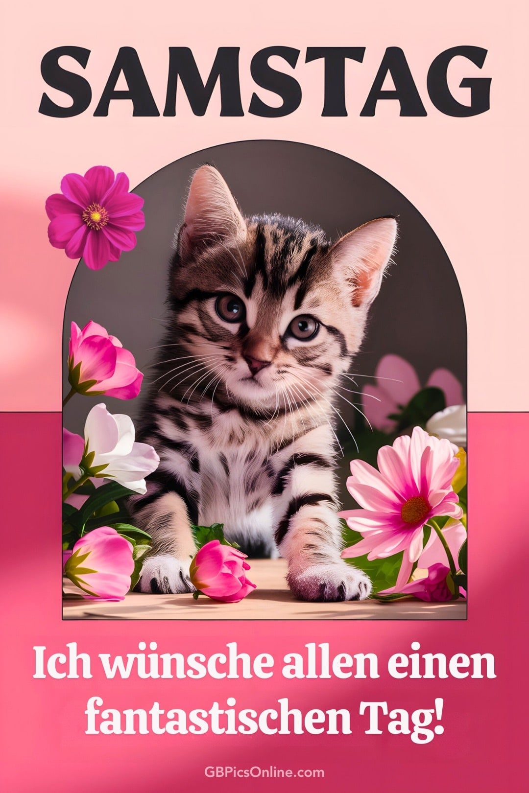 Kätzchen umgeben von Blumen wünscht einen fantastischen Samstag