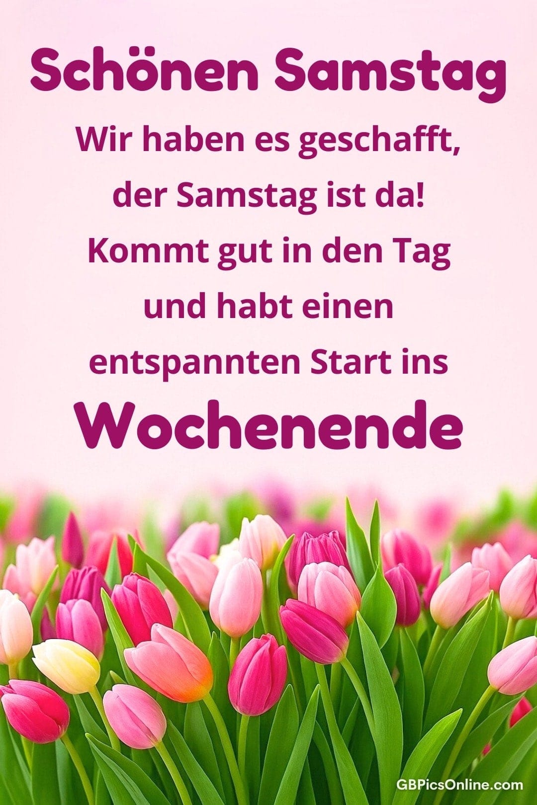 Bunte Tulpen und Grüße zum Samstag, Wünsche für ein entspanntes Wochenende