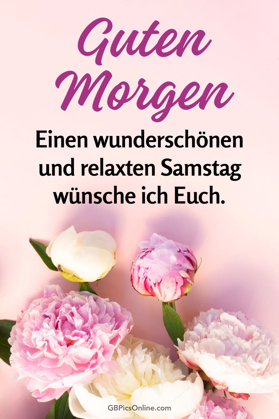 Guten Morgen Text mit rosa Pfingstrosen auf hellem Hintergrund