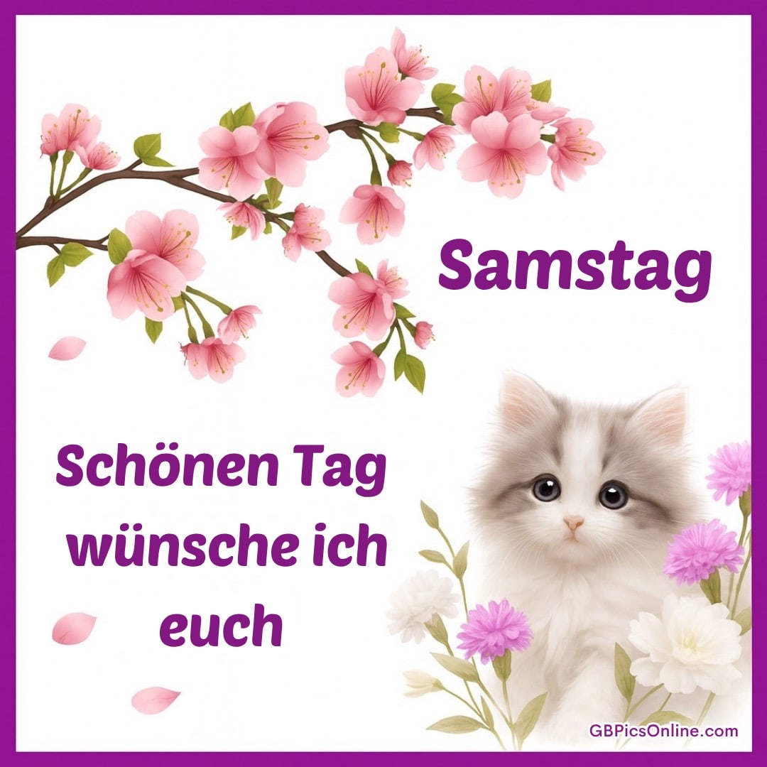 Ein flauschiges, grau-weißes Kätzchen umgeben von rosa Blüten und Blumen mit „Samstag“ und Grüßen