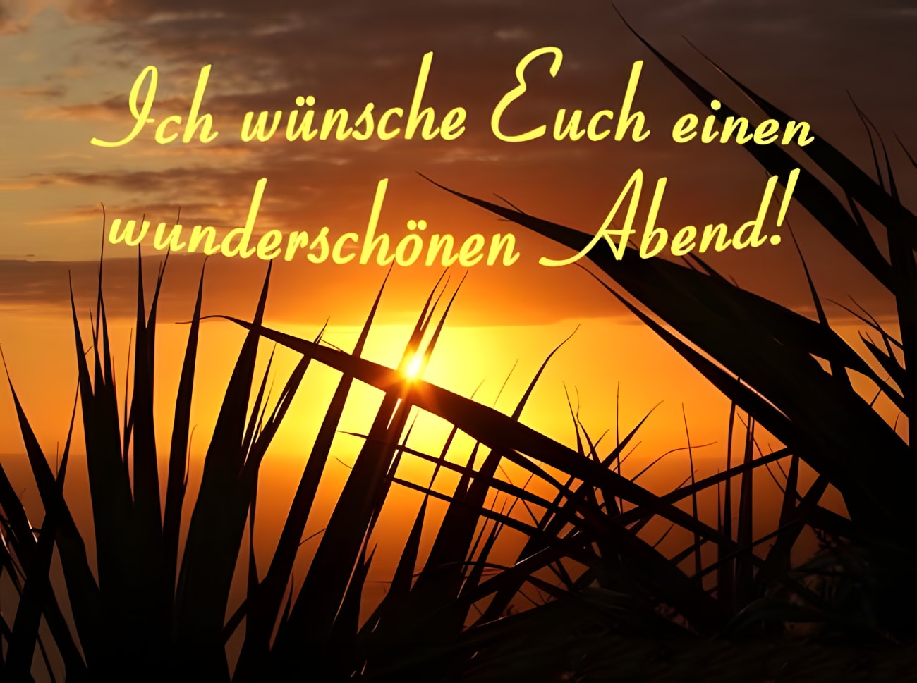 Sonnenuntergang mit Silhouetten von Gräsern und Grußtext