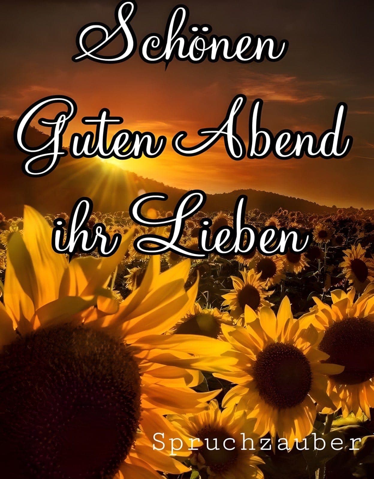 Jappy Deine Online Community