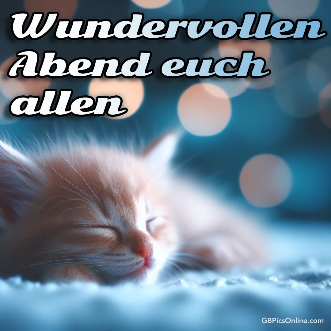 Ein schlafendes Kätzchen mit dem Text „Wundervollen Abend euch allen“