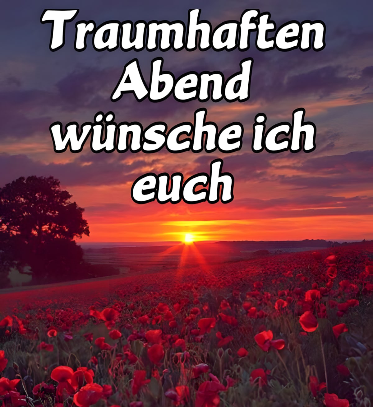 Sonnenuntergang über einem Mohnfeld mit dem Text „Traumhaften Abend wünsche ich euch“