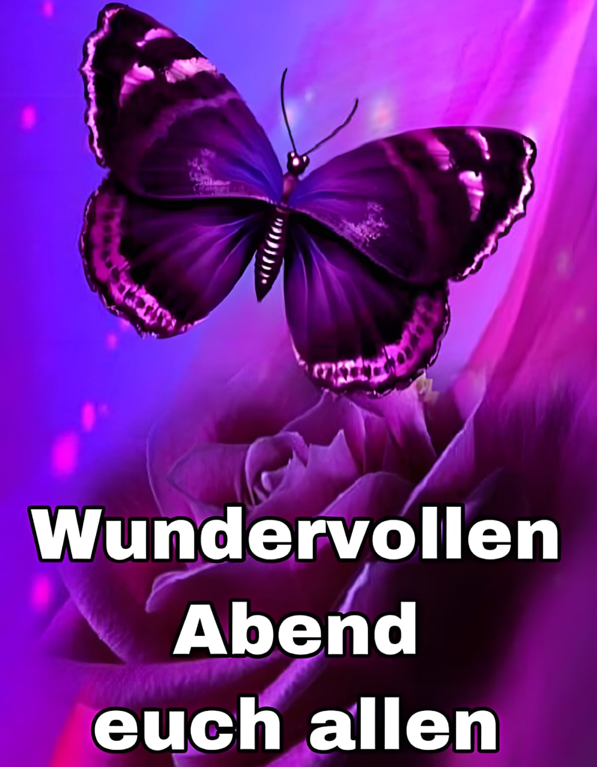 Ein Schmetterling auf einer Rose unter violettem Licht mit Grußtext