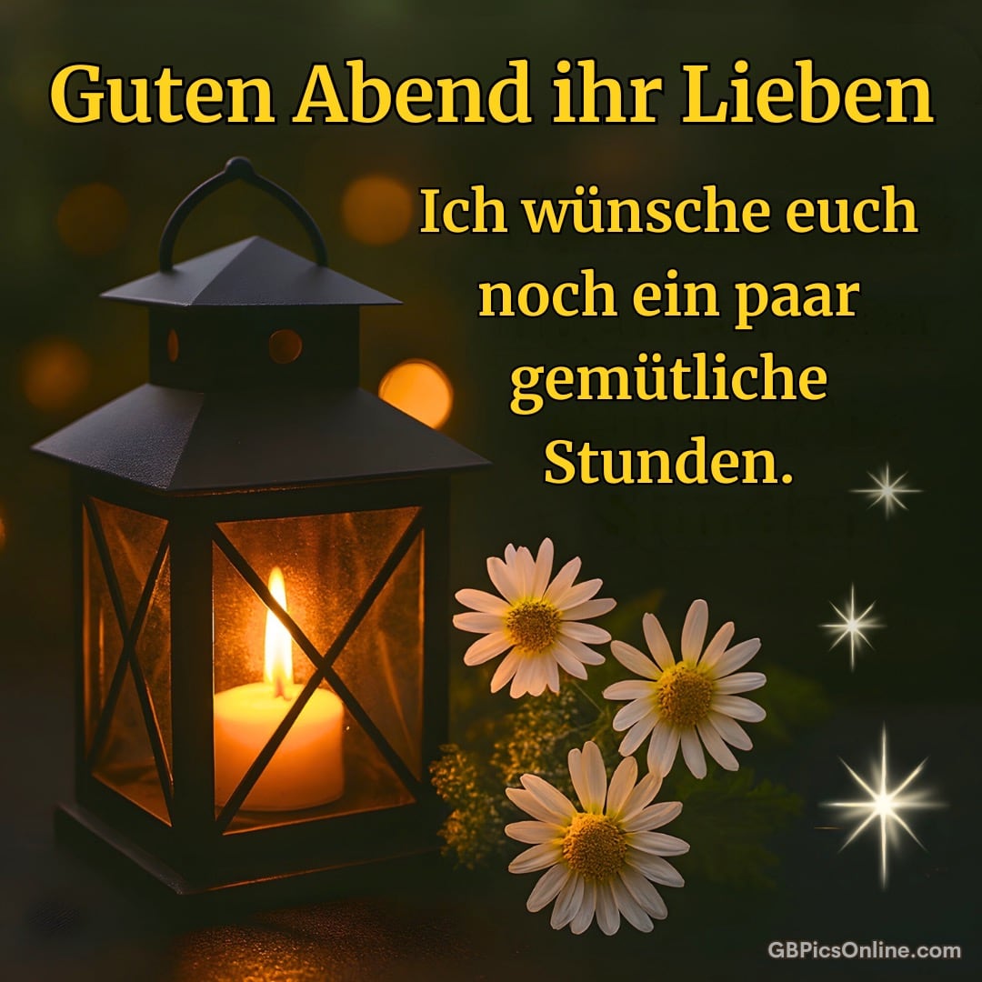 Eine Laterne mit brennender Kerze neben Blumen bei Nacht. Text: Guten Abend ihr Lieben