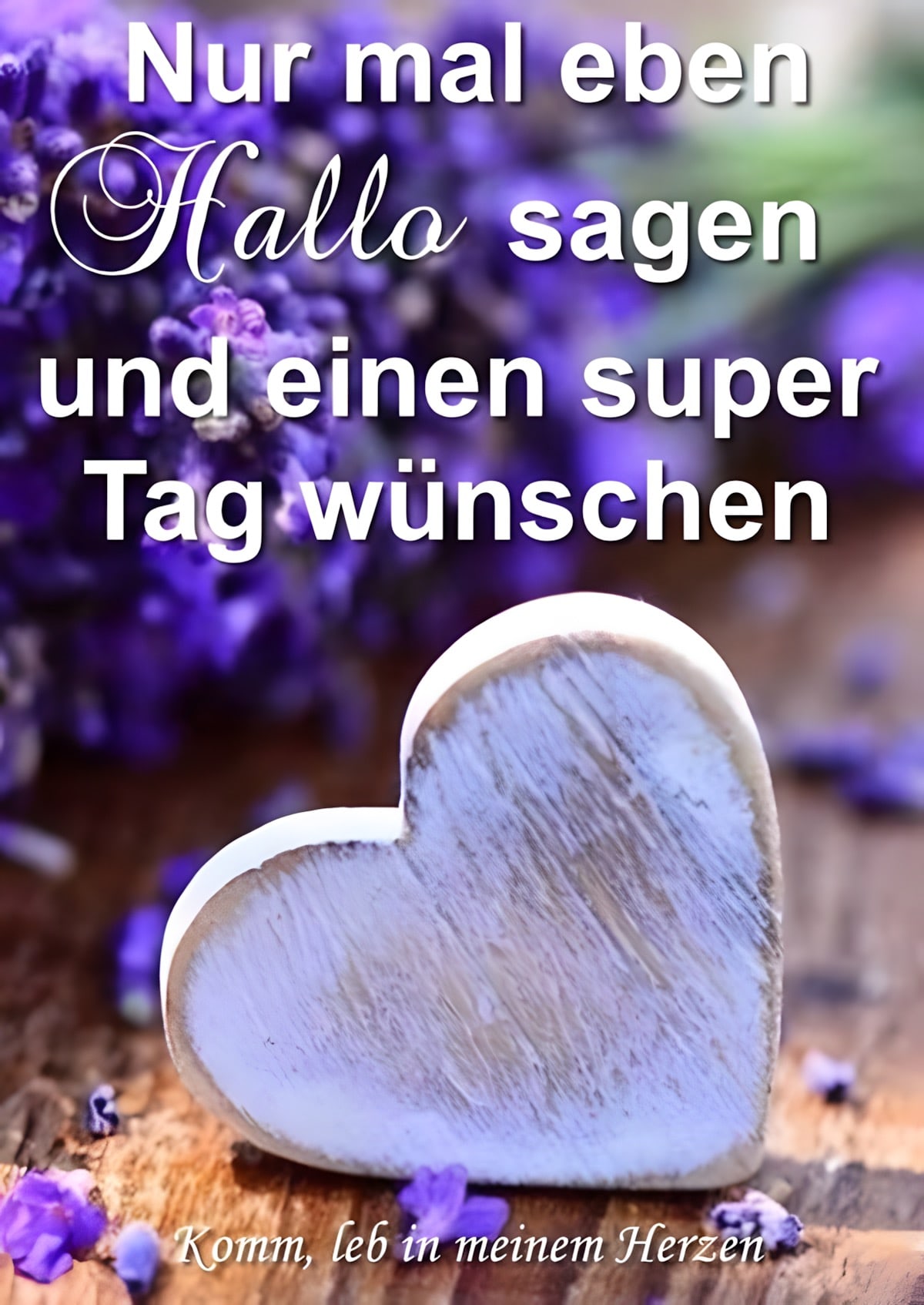 Nur mal eben Hallo sagen und einen super Tag wünschen.