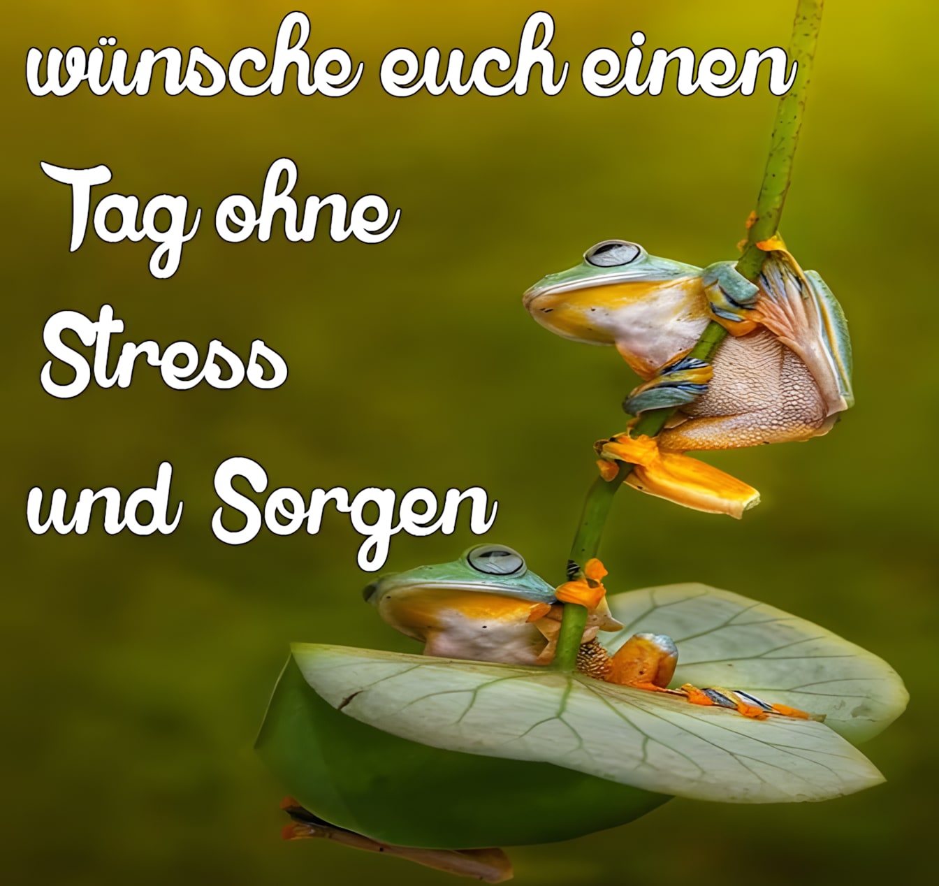 44+ Bilder und sprueche fuer einen schoenen tag , Wünsche euch einen Tag ohne Stress und Bild 25272