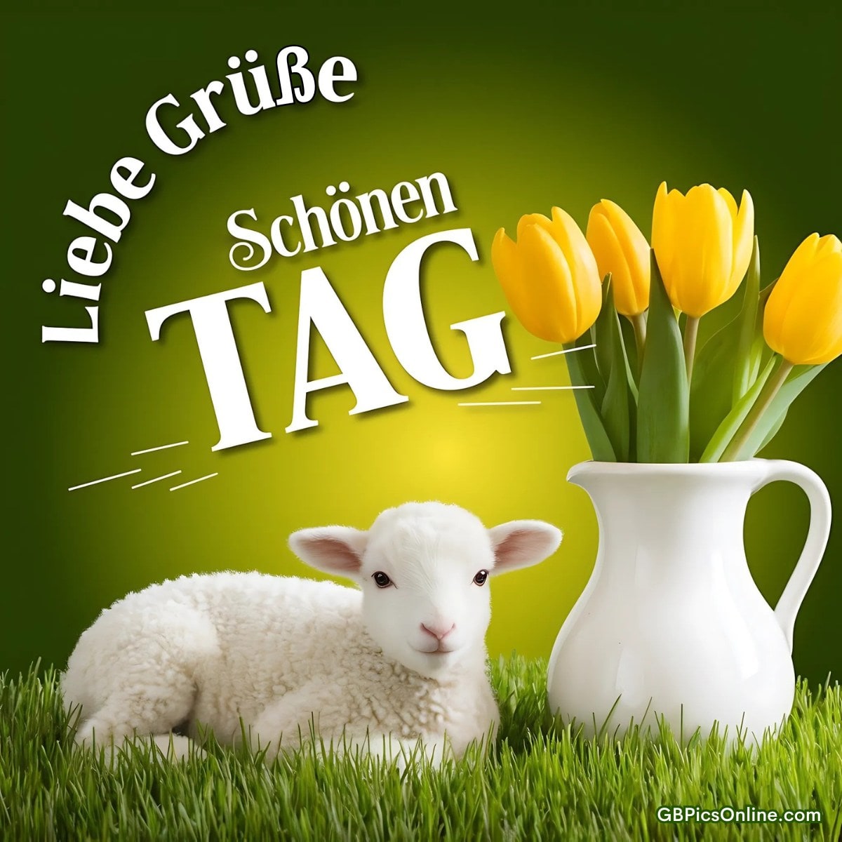 Ein süßes Lamm liegt im Gras neben einer weißen Vase mit gelben Tulpen. Text: Liebe Grüße, schönen Tag
