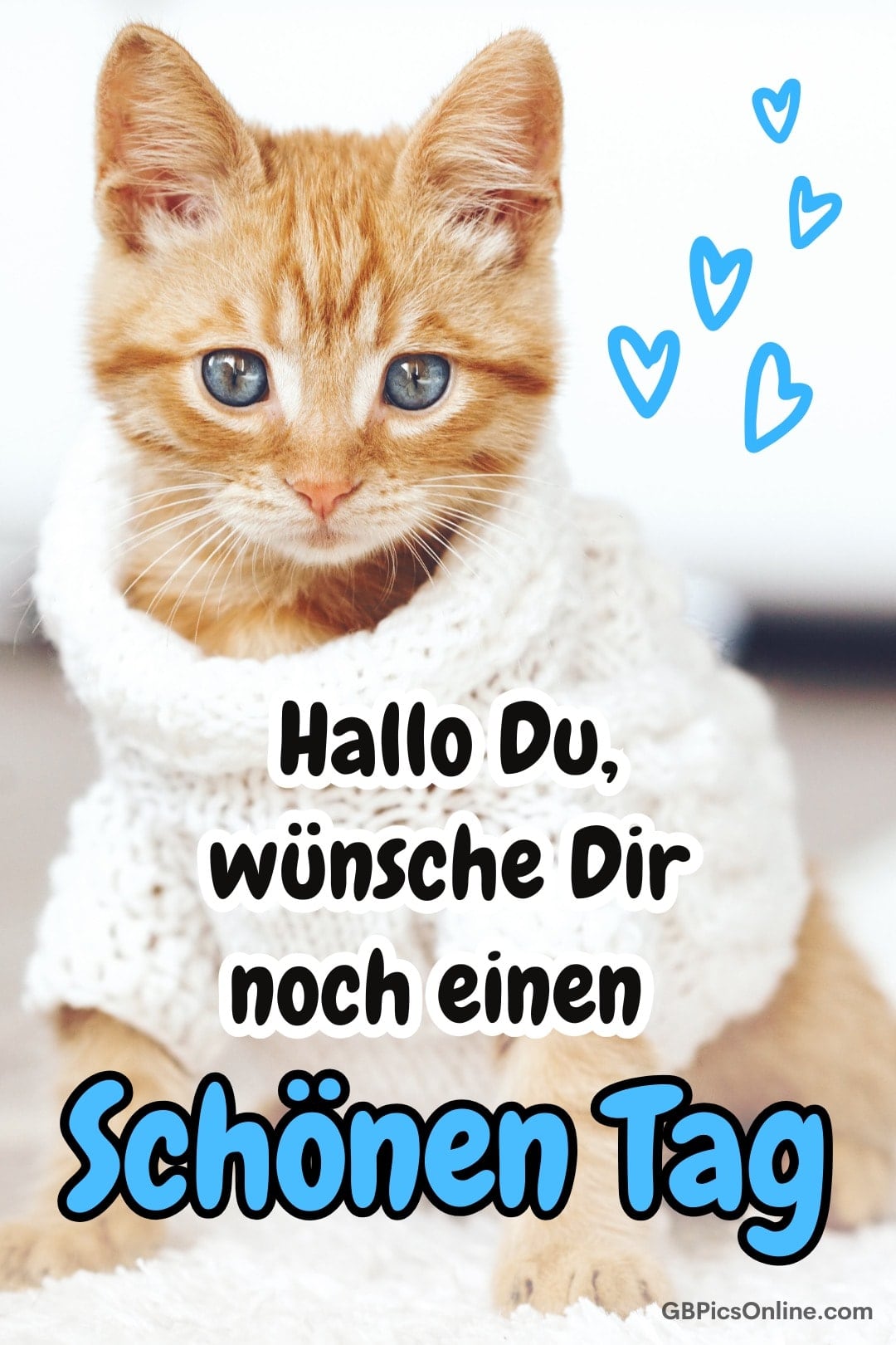 Ein süßes, orangefarbenes Kätzchen in einem weißen Pullover grüßt freundlich