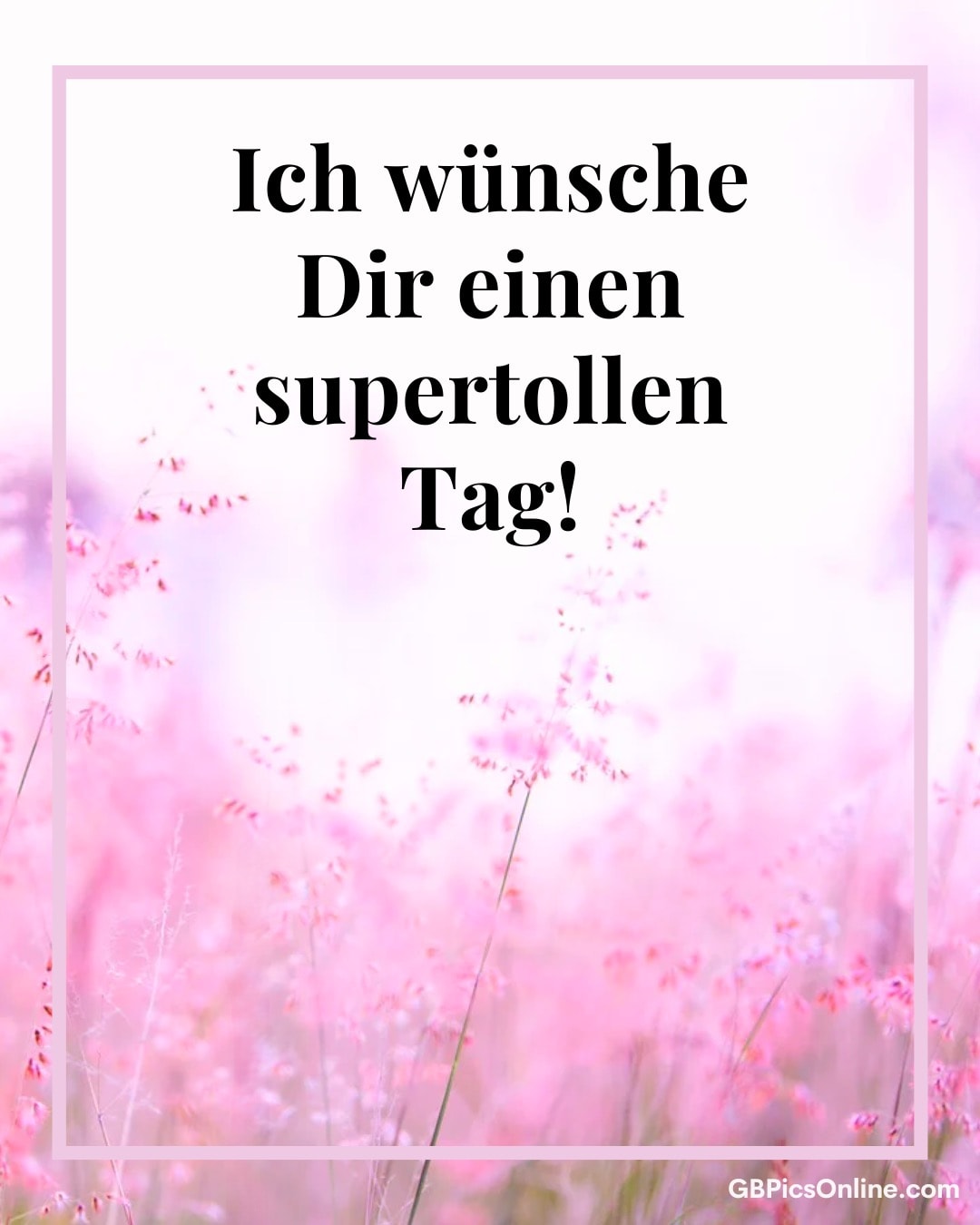 Blühende rosa Blumen mit dem Text „Ich wünsche Dir einen supertollen Tag!“